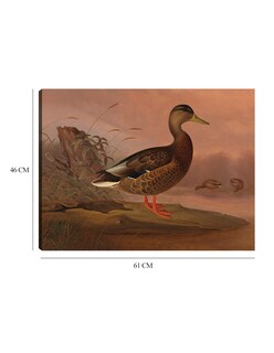 Foto 6 | Cuadro Decorativo - Ánade Real (1848)- Ferdinand Von Wright - Religión - 46x61 - Impresión En Lienzo - Fine Art Tj