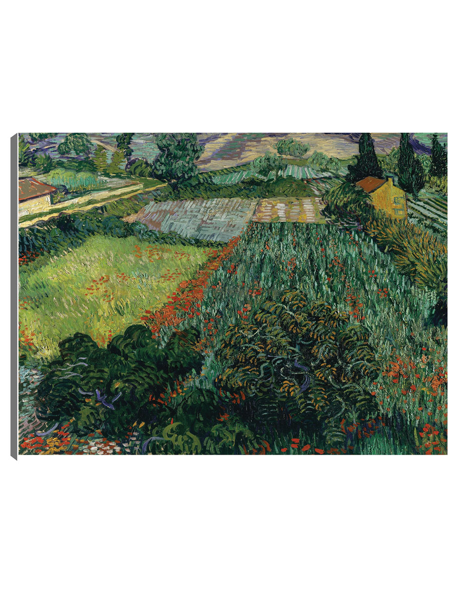 Foto 2 pulgar | Cuadro Decorativo - Campo De Amapolas (1889)- Vincent Van Gogh - Religión - 69x92 - Impresión En Lienzo - Fine Art Tj
