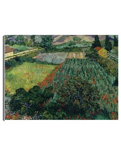 Foto 1 | Cuadro Decorativo - Campo De Amapolas (1889)- Vincent Van Gogh - Religión - 69x92 - Impresión En Lienzo - Fine Art Tj