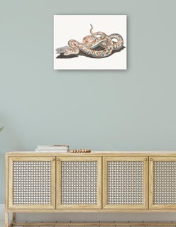 Foto 4 | Cuadro Decorativo - Una Serpiente- Johan Teyler - Animales - 77x102 - Impresión En Lienzo - Fine Art Tj