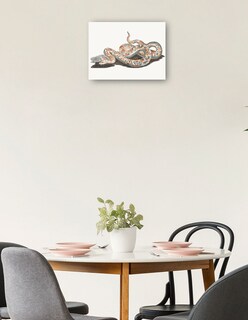 Foto 2 | Cuadro Decorativo - Una Serpiente- Johan Teyler - Animales - 69x92 - Impresión En Lienzo - Fine Art Tj