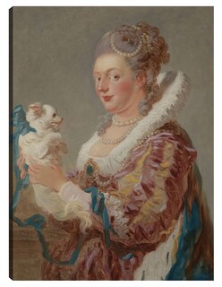 Foto 1 | Cuadro Decorativo - Una Mujer Con Un Perro- Jean Honore Fragonard - Fotografía - 46x61 - Impresión En Lienzo - Fine