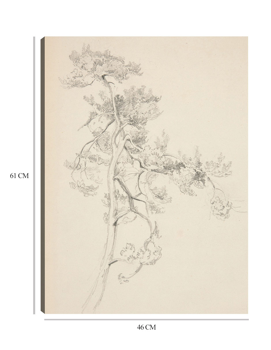 Foto 7 pulgar | Cuadro Decorativo - Árbol Y Follaje- John Singer Sargent - Abstracto - 46x61 - Impresión En Lienzo - Fine Art Tj