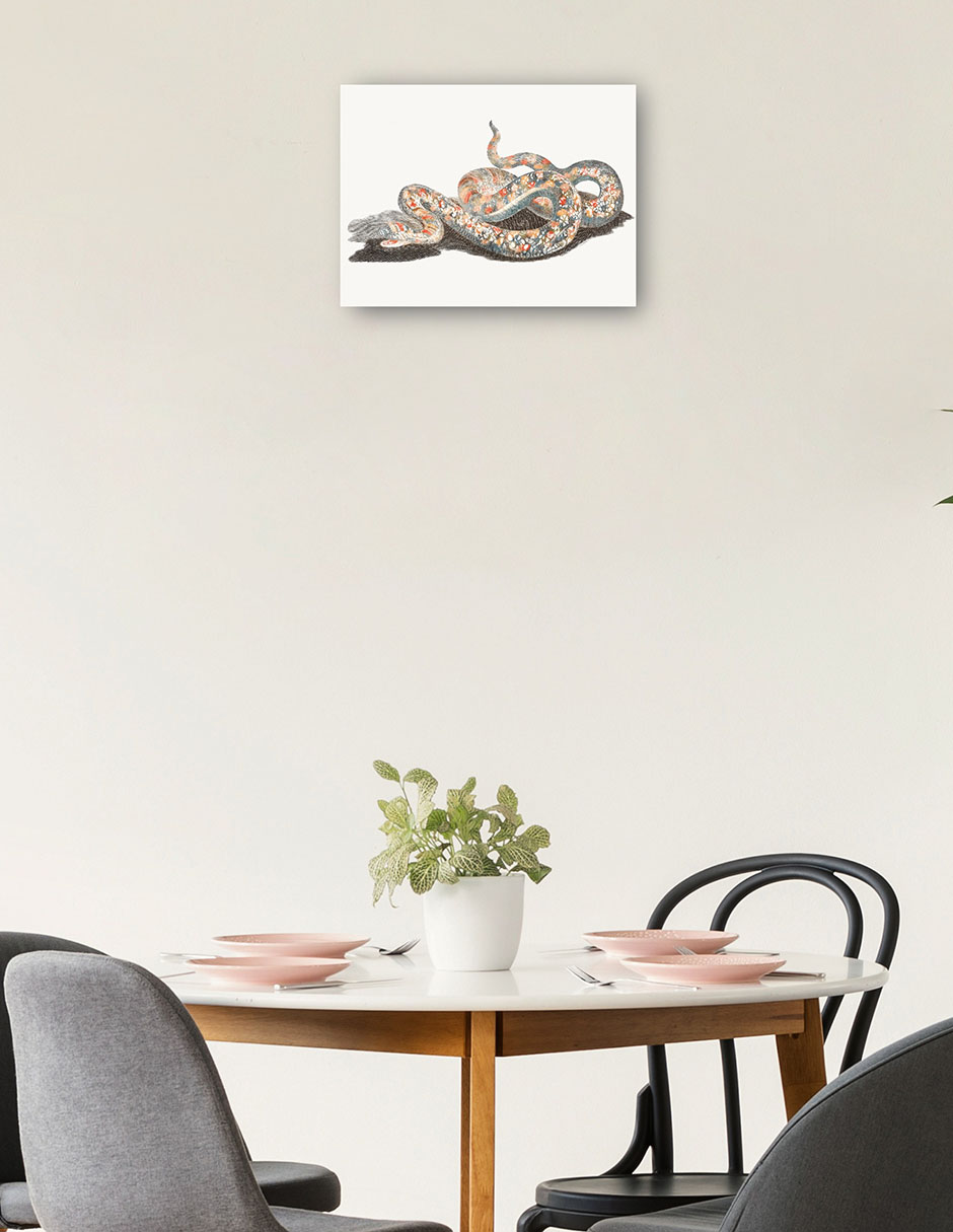 Foto 2 | Cuadro Decorativo - Una Serpiente- Johan Teyler - Animales - 46x61 - Impresión En Lienzo - Fine Art Tj