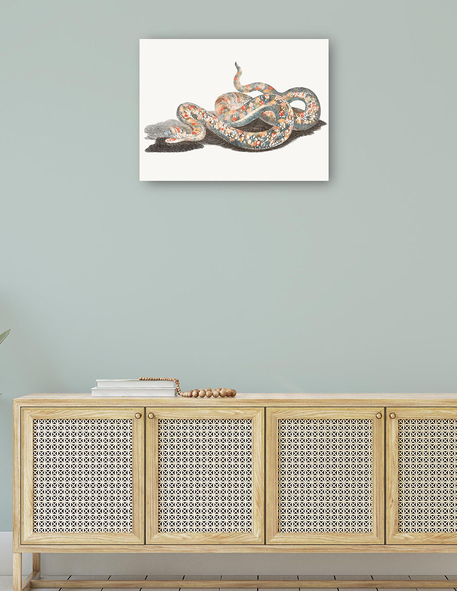 Foto 5 pulgar | Cuadro Decorativo - Una Serpiente- Johan Teyler - Animales - 46x61 - Impresión En Lienzo - Fine Art Tj