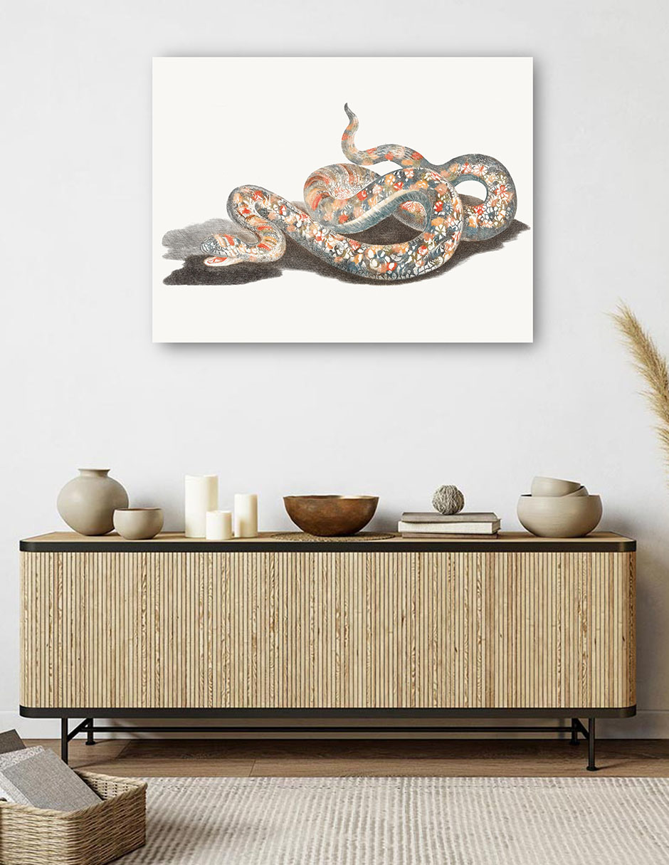Foto 6 pulgar | Cuadro Decorativo - Una Serpiente- Johan Teyler - Animales - 46x61 - Impresión En Lienzo - Fine Art Tj