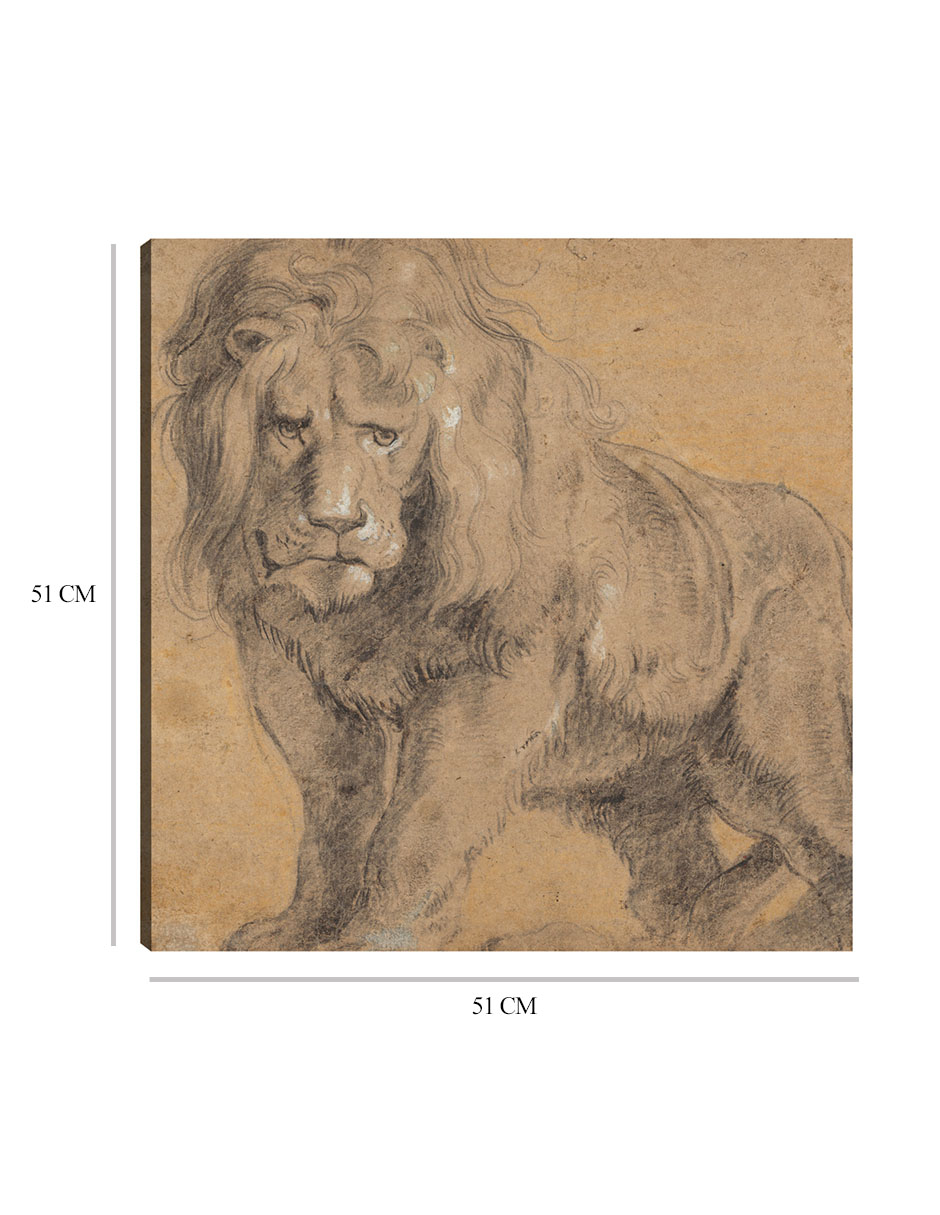 Foto 7 pulgar | Cuadro Decorativo - León (c. 1612-1613)- Peter Paul Rubens - Fotografía - 51x51 - Impresión En Lienzo - Fine Art Tj