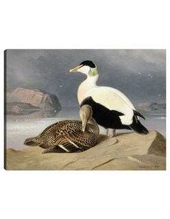 Foto 1 | Cuadro Decorativo - Kaksi Haahkaa (1867)- Ferdinand Von Wright - Religión - 46x61 - Impresión En Lienzo - Fine Art Tj