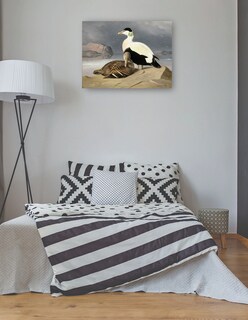 Foto 3 | Cuadro Decorativo - Kaksi Haahkaa (1867)- Ferdinand Von Wright - Religión - 46x61 - Impresión En Lienzo - Fine Art Tj