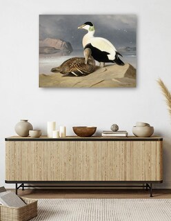 Foto 5 | Cuadro Decorativo - Kaksi Haahkaa (1867)- Ferdinand Von Wright - Religión - 46x61 - Impresión En Lienzo - Fine Art Tj