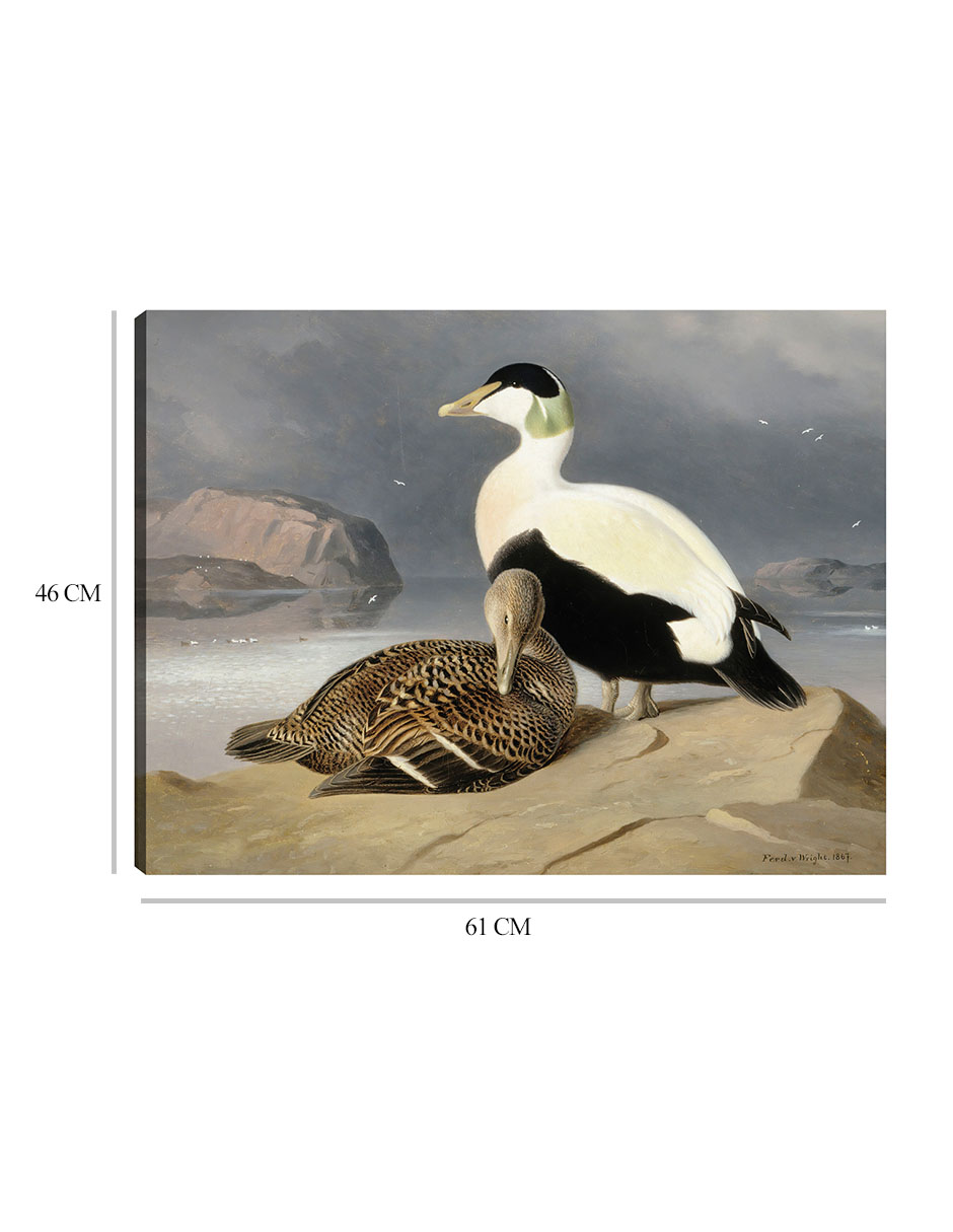 Foto 7 pulgar | Cuadro Decorativo - Kaksi Haahkaa (1867)- Ferdinand Von Wright - Religión - 46x61 - Impresión En Lienzo - Fine Art Tj