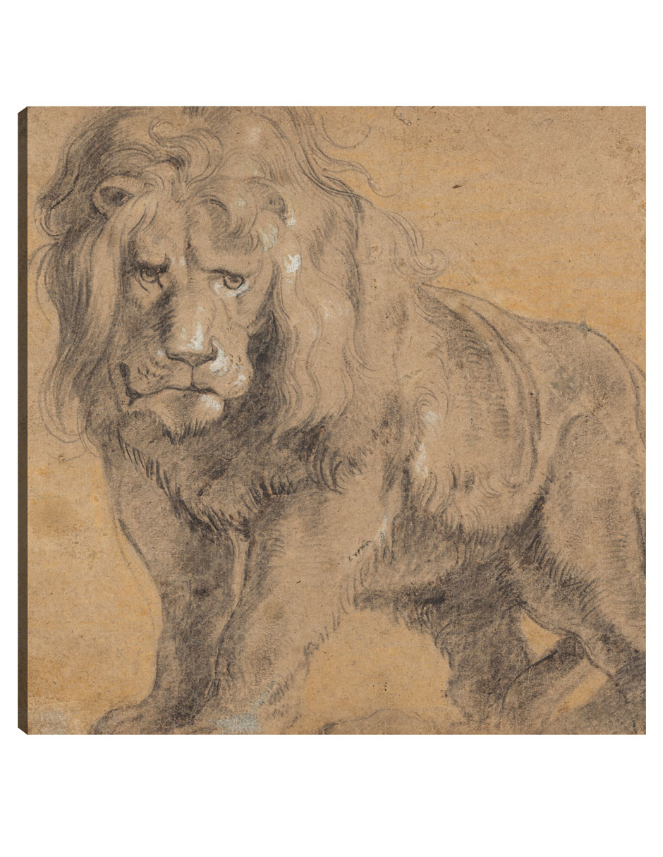 Foto 1 | Cuadro Decorativo - León (c. 1612-1613)- Peter Paul Rubens - Fotografía - 89x89 - Impresión En Lienzo - Fine Art Tj