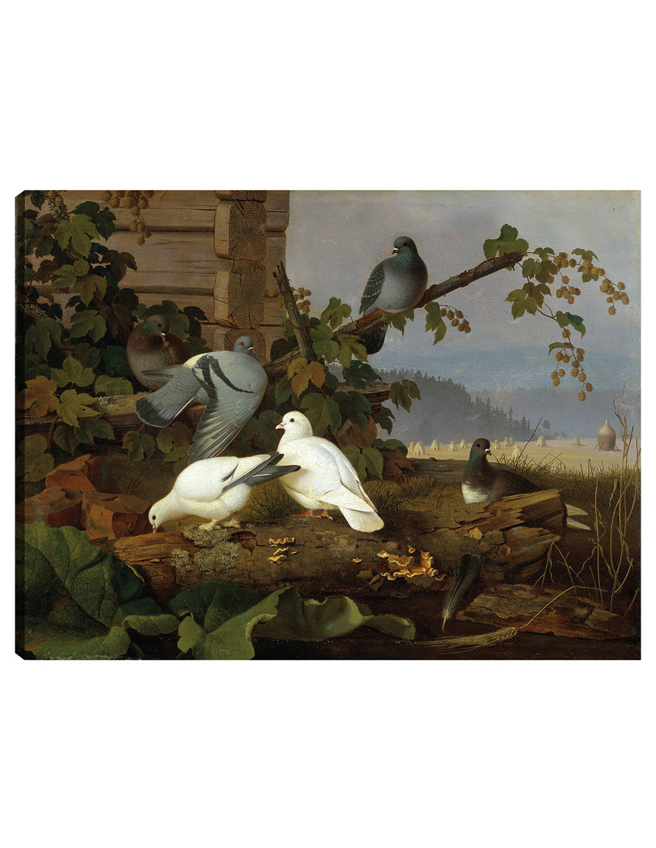 Foto 2 pulgar | Cuadro Decorativo - Palomas- Ferdinand Von Wright - Religión - 46x61 - Impresión En Lienzo - Fine Art Tj