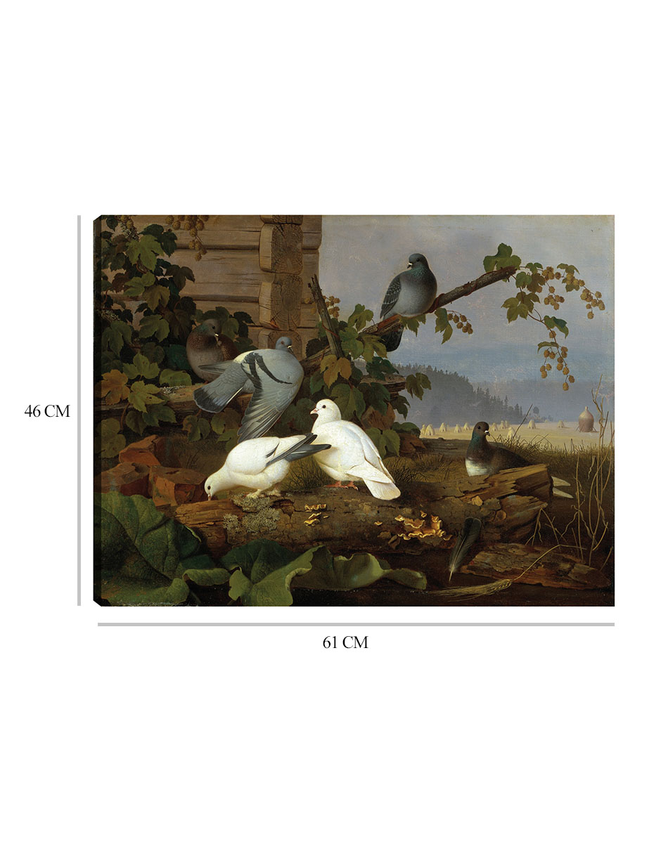 Foto 6 | Cuadro Decorativo - Palomas- Ferdinand Von Wright - Religión - 46x61 - Impresión En Lienzo - Fine Art Tj