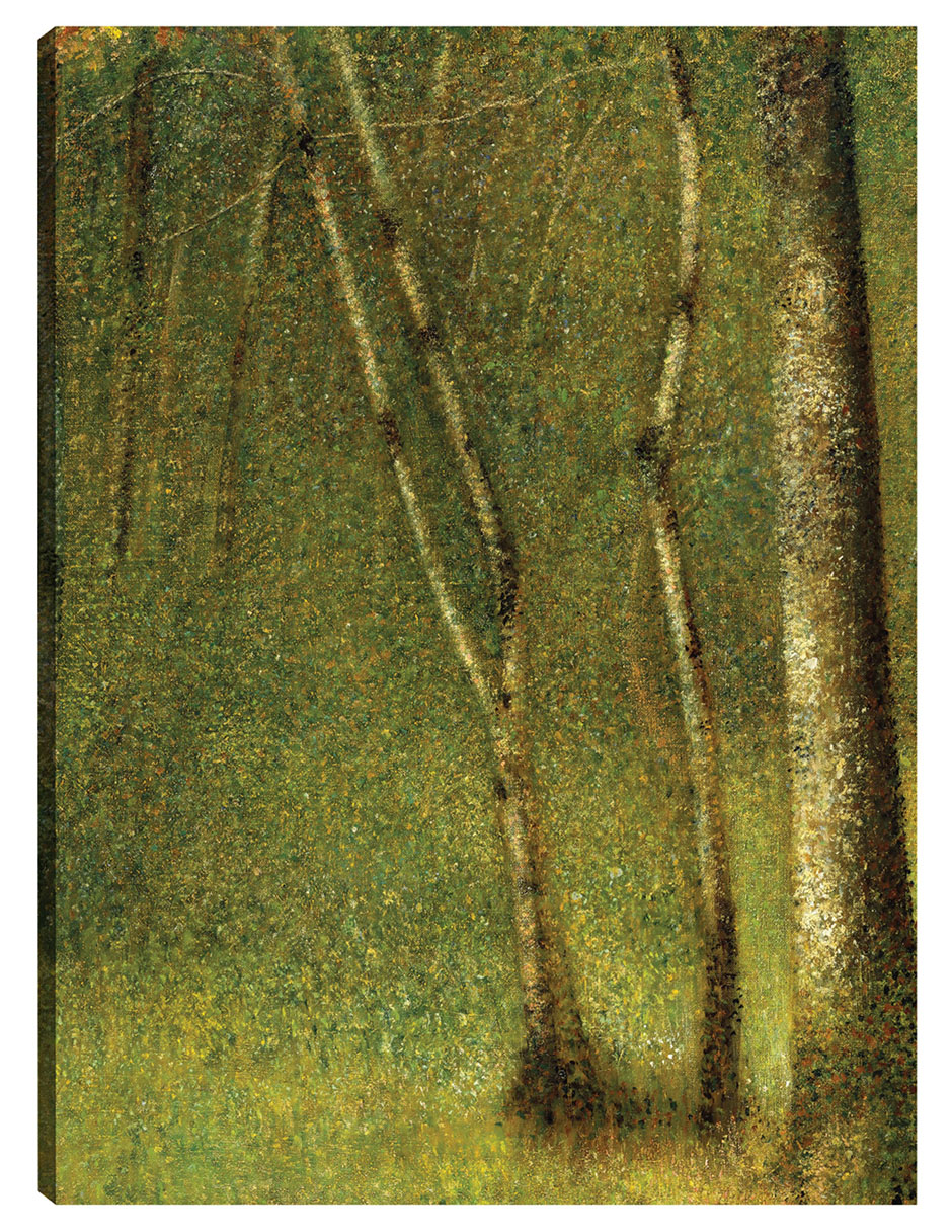 Foto 1 | Cuadro Decorativo - El Bosque De Pontaubert (1881)- Georges Seurat - Paisaje - 28x36 - Impresión En Lienzo - Fine Art T
