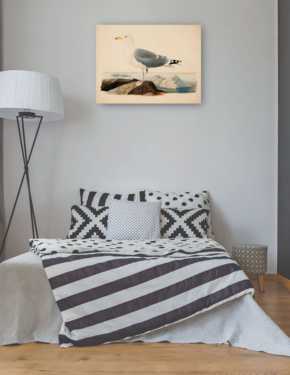 Foto 4 pulgar | Cuadro Decorativo - Gaviota Argéntea Europea (1839)- Ferdinand Von Wright - Religión - 28x36 - Impresión En L