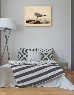 Foto 3 | Cuadro Decorativo - Gaviota Argéntea Europea (1839)- Ferdinand Von Wright - Religión - 28x36 - Impresión En L