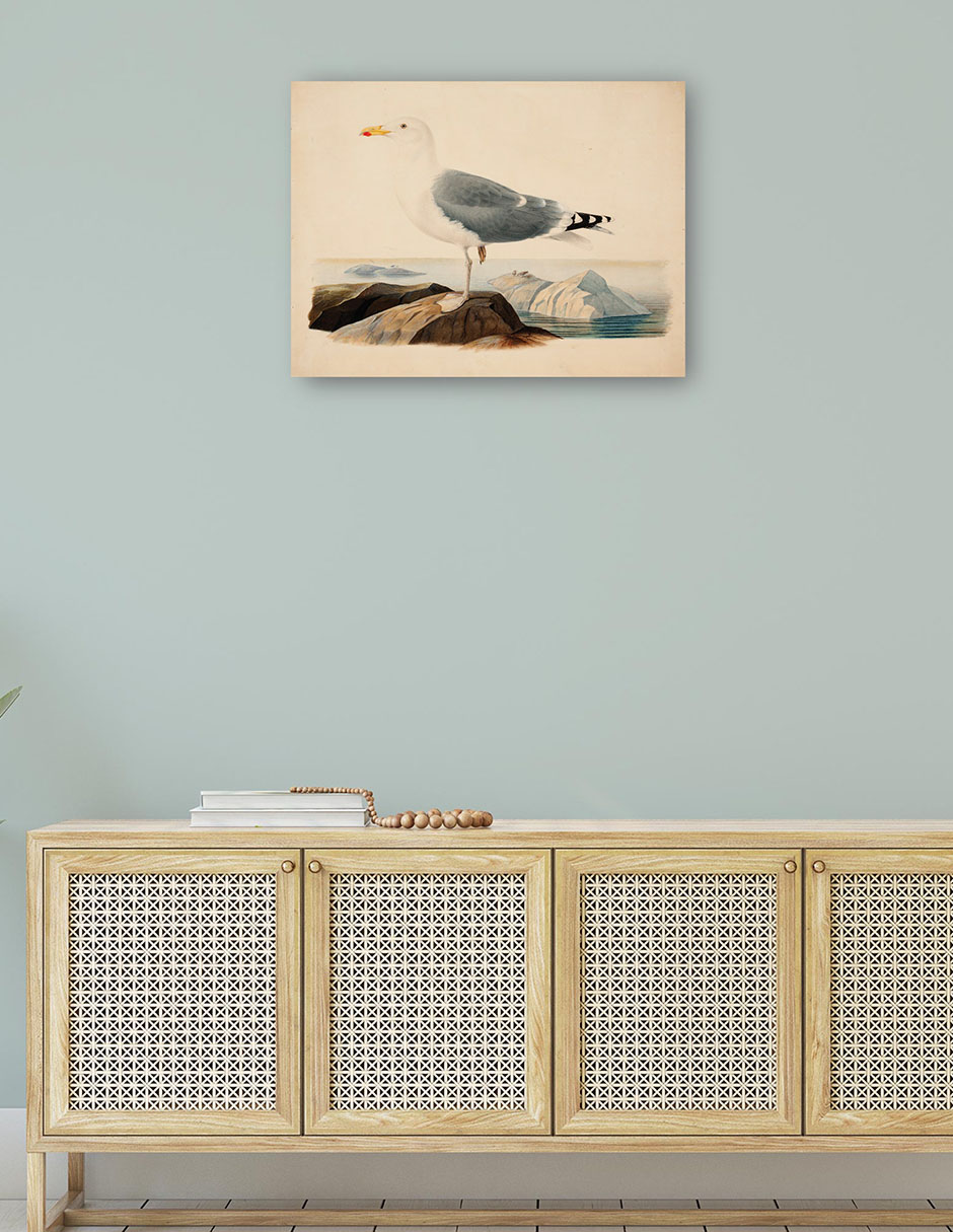 Foto 5 pulgar | Cuadro Decorativo - Gaviota Argéntea Europea (1839)- Ferdinand Von Wright - Religión - 28x36 - Impresión En L