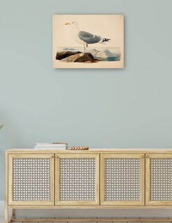 Foto 4 | Cuadro Decorativo - Gaviota Argéntea Europea (1839)- Ferdinand Von Wright - Religión - 28x36 - Impresión En L