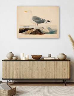 Foto 5 | Cuadro Decorativo - Gaviota Argéntea Europea (1839)- Ferdinand Von Wright - Religión - 28x36 - Impresión En L