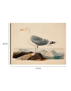 Foto 6 | Cuadro Decorativo - Gaviota Argéntea Europea (1839)- Ferdinand Von Wright - Religión - 28x36 - Impresión En L