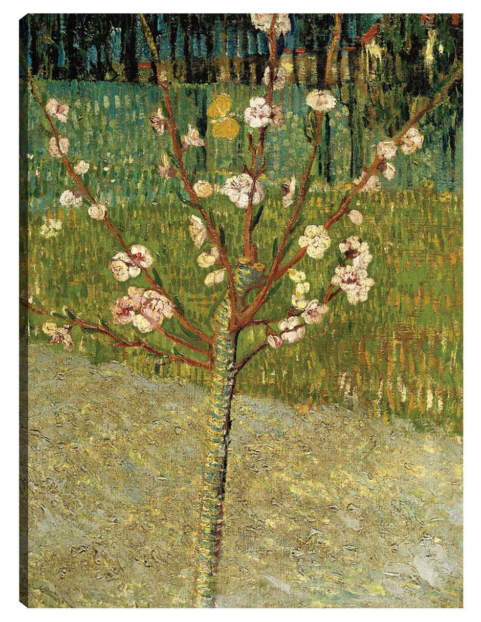 Foto 2 pulgar | Cuadro Decorativo - Almendro En Flor- Vincent Van Gogh - Floral - 69x92 - Impresión En Lienzo - Fine Art Tj