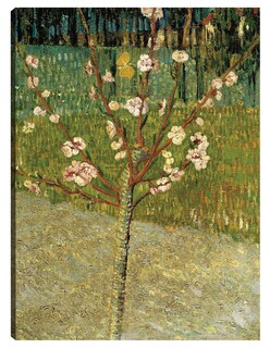 Foto 1 | Cuadro Decorativo - Almendro En Flor- Vincent Van Gogh - Floral - 69x92 - Impresión En Lienzo - Fine Art Tj