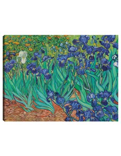 Foto 1 | Cuadro Decorativo - Iris (1889)- Vincent Van Gogh - Floral - 107x143 - Impresión En Lienzo - Fine Art Tj