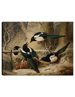 Foto 1 | Cuadro Decorativo - Urracas Alrededor De Un Urogallo Hembra Muerta (1867)- Ferdinand Von Wright - Religión - 69