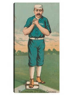 Foto 1 | Cuadro Decorativo - Ned Williamson, Medias Blancas De Chicago,- Library Of Congress - 54x102 - Fine Art Tj