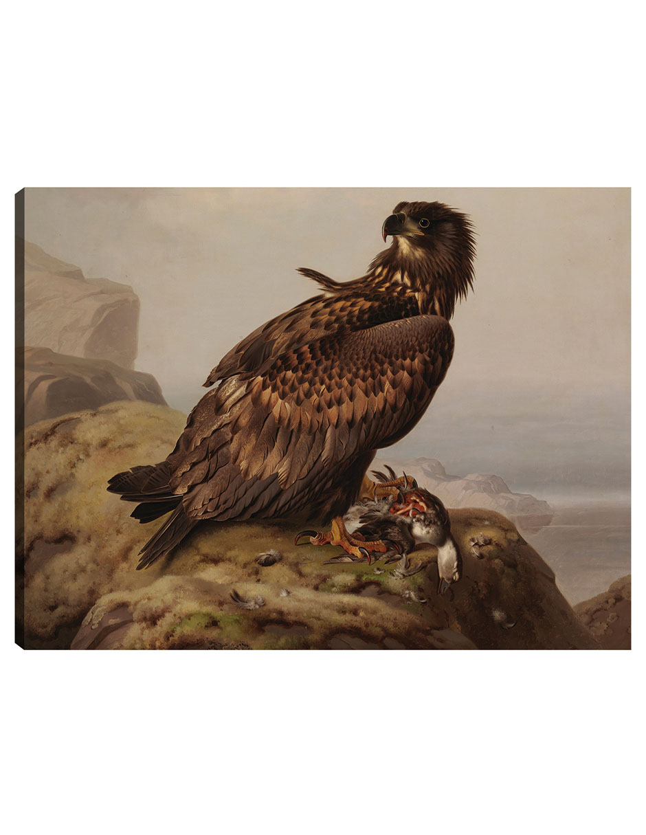 Foto 2 pulgar | Cuadro Decorativo - Águila De Cola Blanca Con Su Presa (1861)- Ferdinand Von Wright - Religión - 69x92 - Fine Art Tj