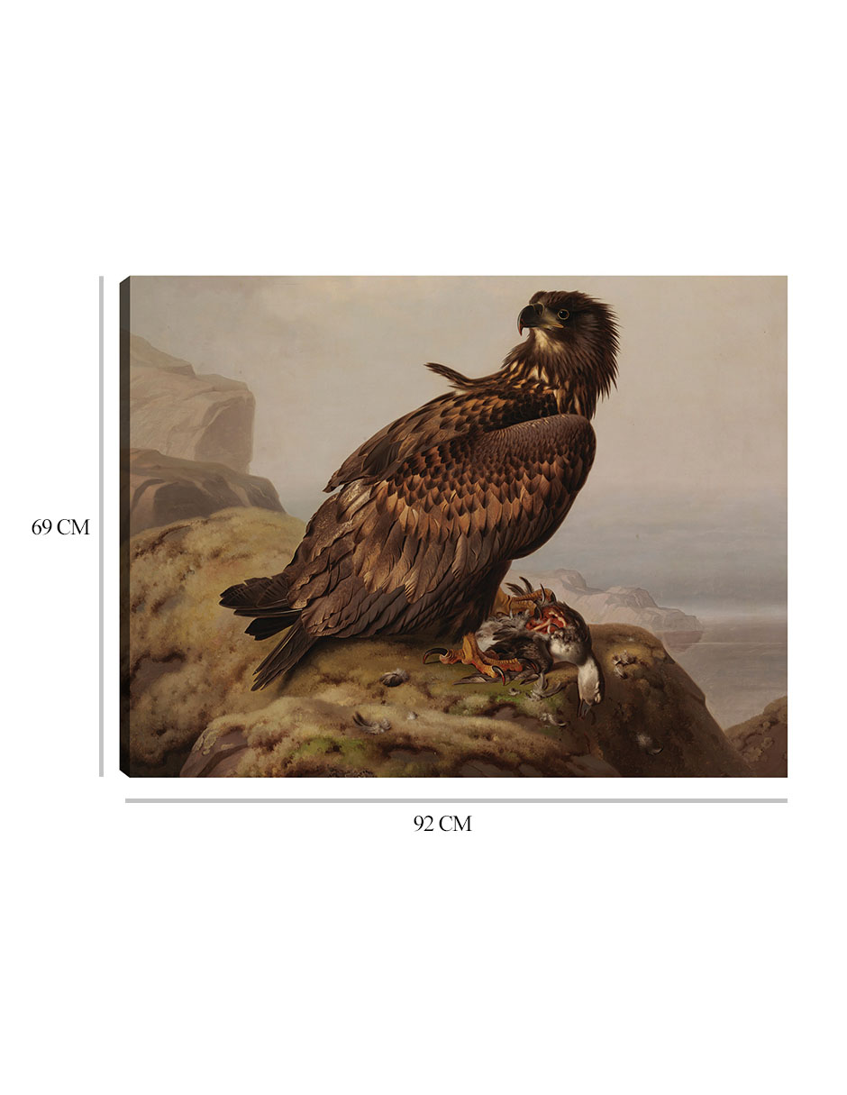 Foto 7 pulgar | Cuadro Decorativo - Águila De Cola Blanca Con Su Presa (1861)- Ferdinand Von Wright - Religión - 69x92 - Fine Art Tj