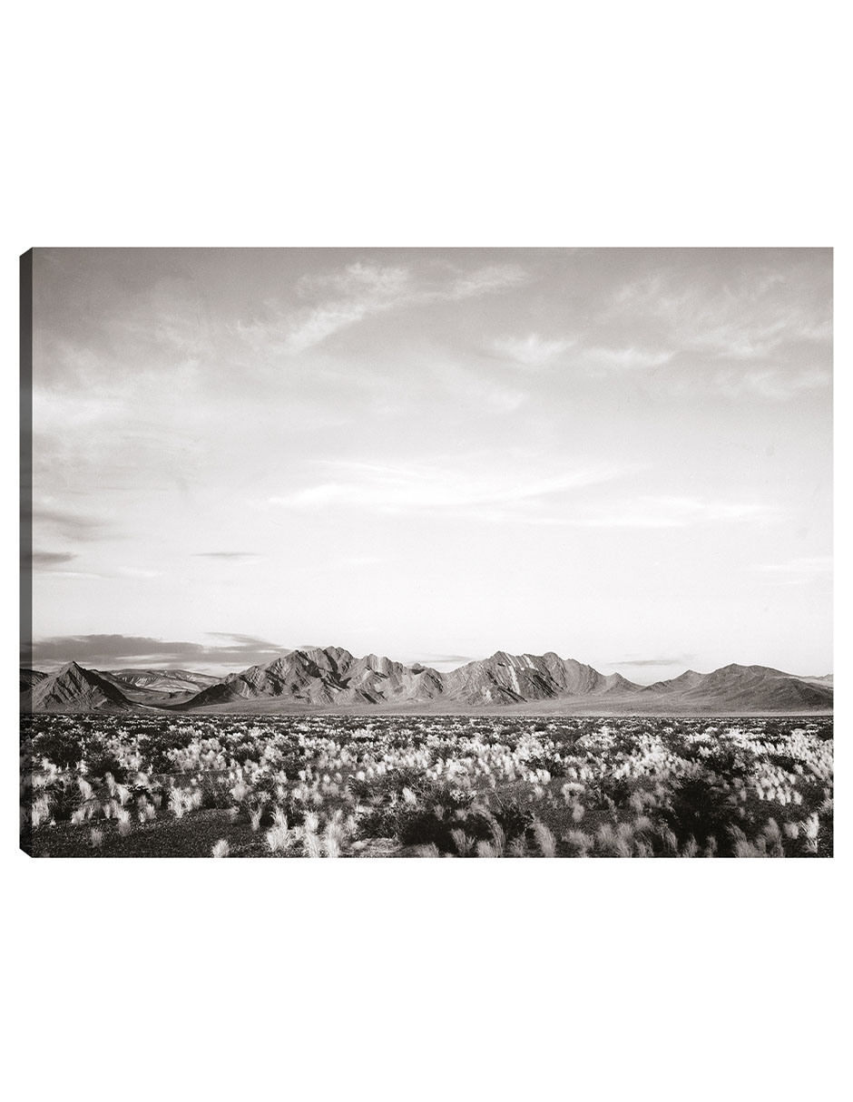 Foto 2 pulgar | Cuadro Decorativo - Cerca Del Monumento Nacional Del Valle De La Muerte, California- Ansel Adams - 107x143 - Fine Art Tj