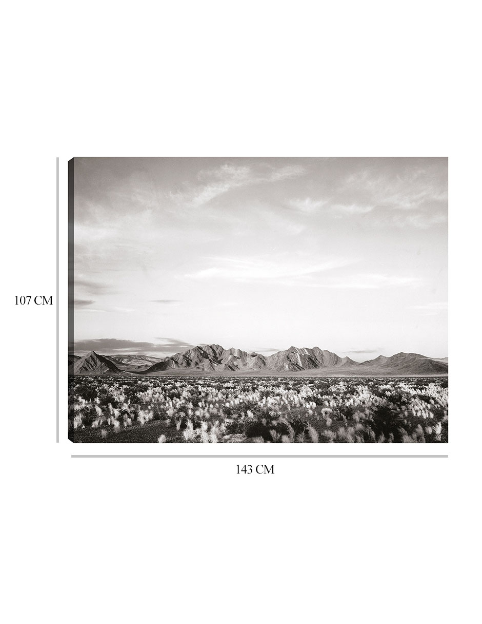 Foto 7 pulgar | Cuadro Decorativo - Cerca Del Monumento Nacional Del Valle De La Muerte, California- Ansel Adams - 107x143 - Fine Art Tj