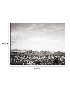 Foto 6 | Cuadro Decorativo - Cerca Del Monumento Nacional Del Valle De La Muerte, California- Ansel Adams - 107x143 - Fine Art Tj