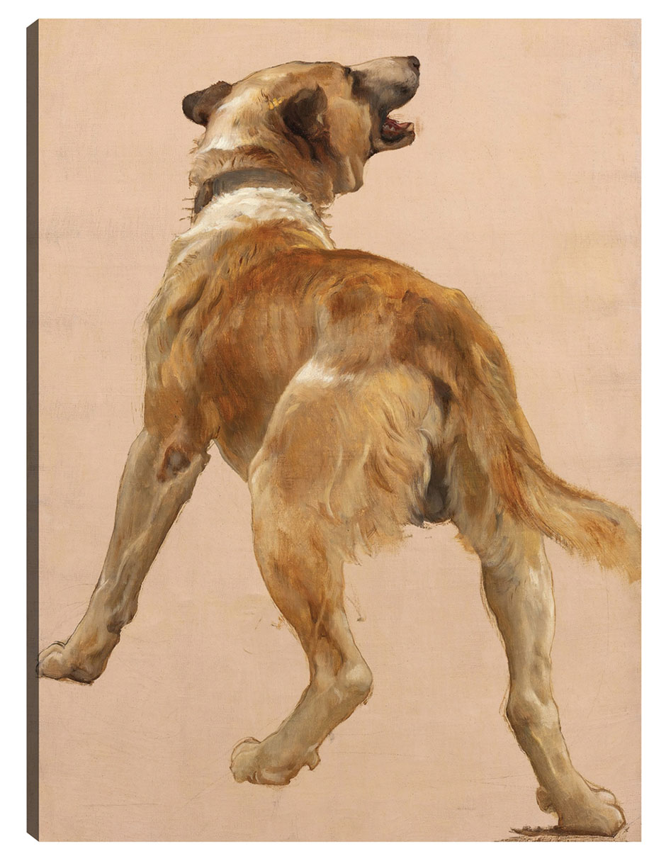 Foto 2 pulgar | Cuadro Decorativo - Estudio Del Perro Guía Homѐre Et Son.- William Bouguereau - Animales - 28x36-impresión En