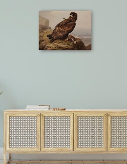 Foto 4 | Cuadro Decorativo - Águila De Cola Blanca Con Su Presa (1861)- Ferdinand Von Wright - Religión - 46x61 - Fine Art Tj