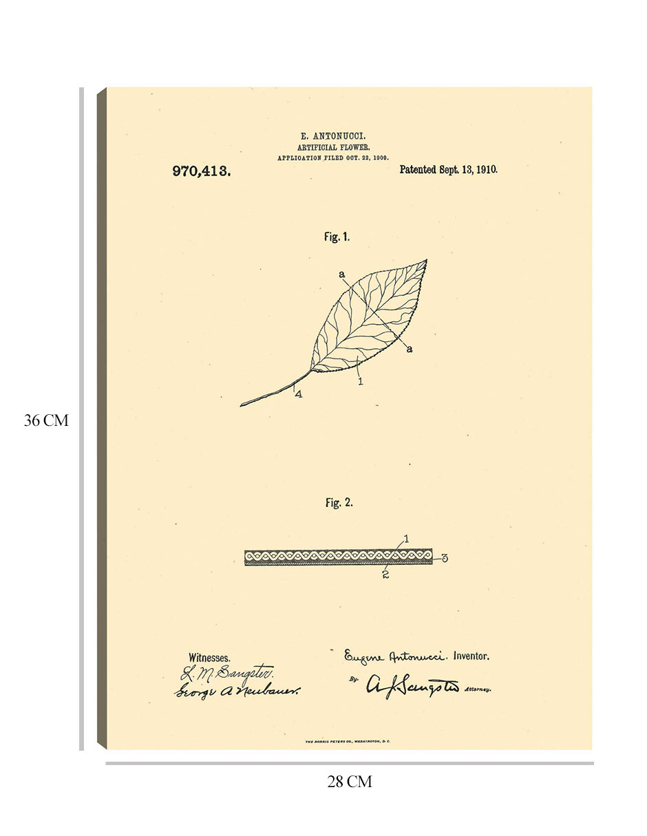 Foto 6 | Cuadro Decorativo - Flor Artificial Patentada, Inventor: William A. Warner, 13 De Septiembre De 1910-28x36-fine Art Tj