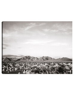 Foto 1 | Cuadro Decorativo - Cerca Del Monumento Nacional Del Valle De La Muerte, California- Ansel Adams - 69x92 - Fine Art Tj