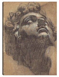 Foto 1 | Cuadro Decorativo - Cabeza De Giuliano De Medici (década De 1540)- Jacopo Tintoretto - Fotografía - 28x36 - Fine Art