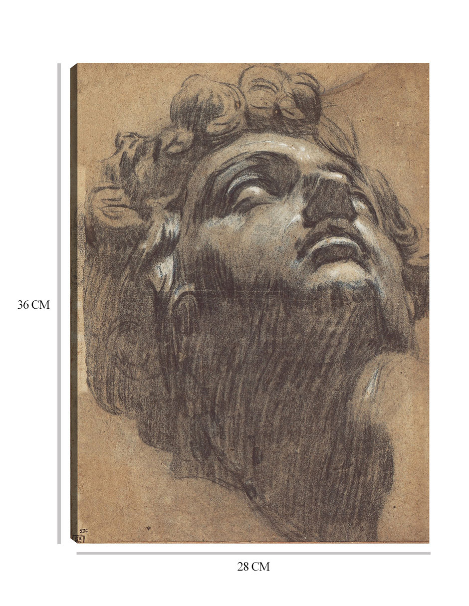 Foto 6 | Cuadro Decorativo - Cabeza De Giuliano De  Medici (década De 1540)- Jacopo Tintoretto - Fotografía - 28x36 - Fine Art