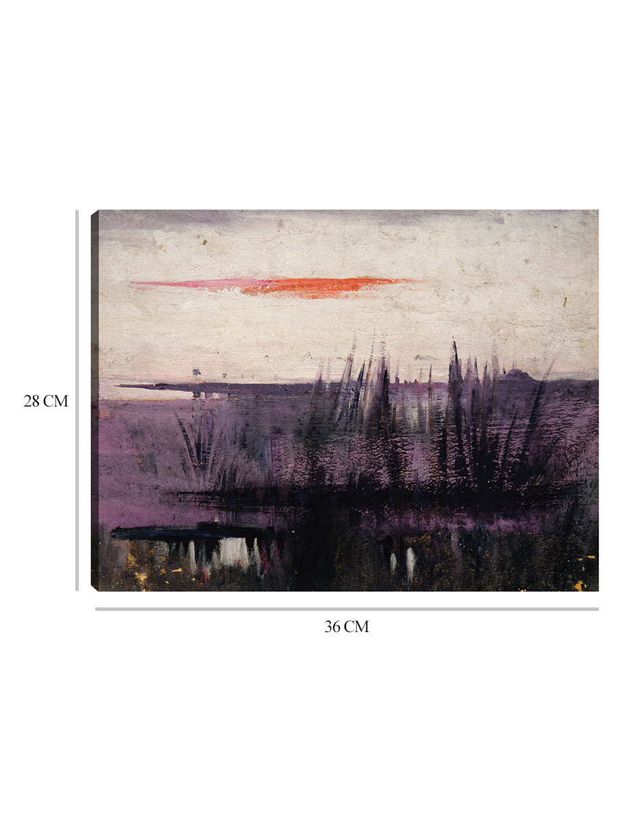 Foto 7 pulgar | Cuadro Decorativo - Estudio Para Libro Del Cielo Simulado Por Flamencos Blancos - Abbott Handerson Thayer - 28x36