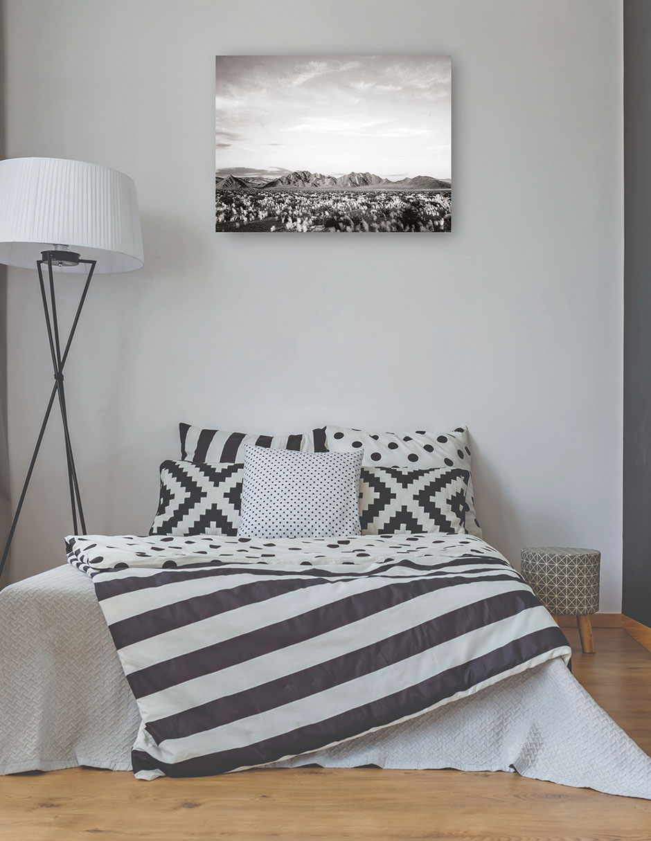 Foto 3 | Cuadro Decorativo - Cerca Del Monumento Nacional Del Valle De La Muerte, California- Ansel Adams - 77x102 - Fine Art Tj