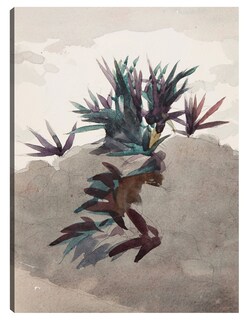 Foto 1 | Cuadro Decorativo - Ladera Con Macizos De Maguey (1898-1899)- Winslow Homer - Abstracto - 69x92 -impresión En L