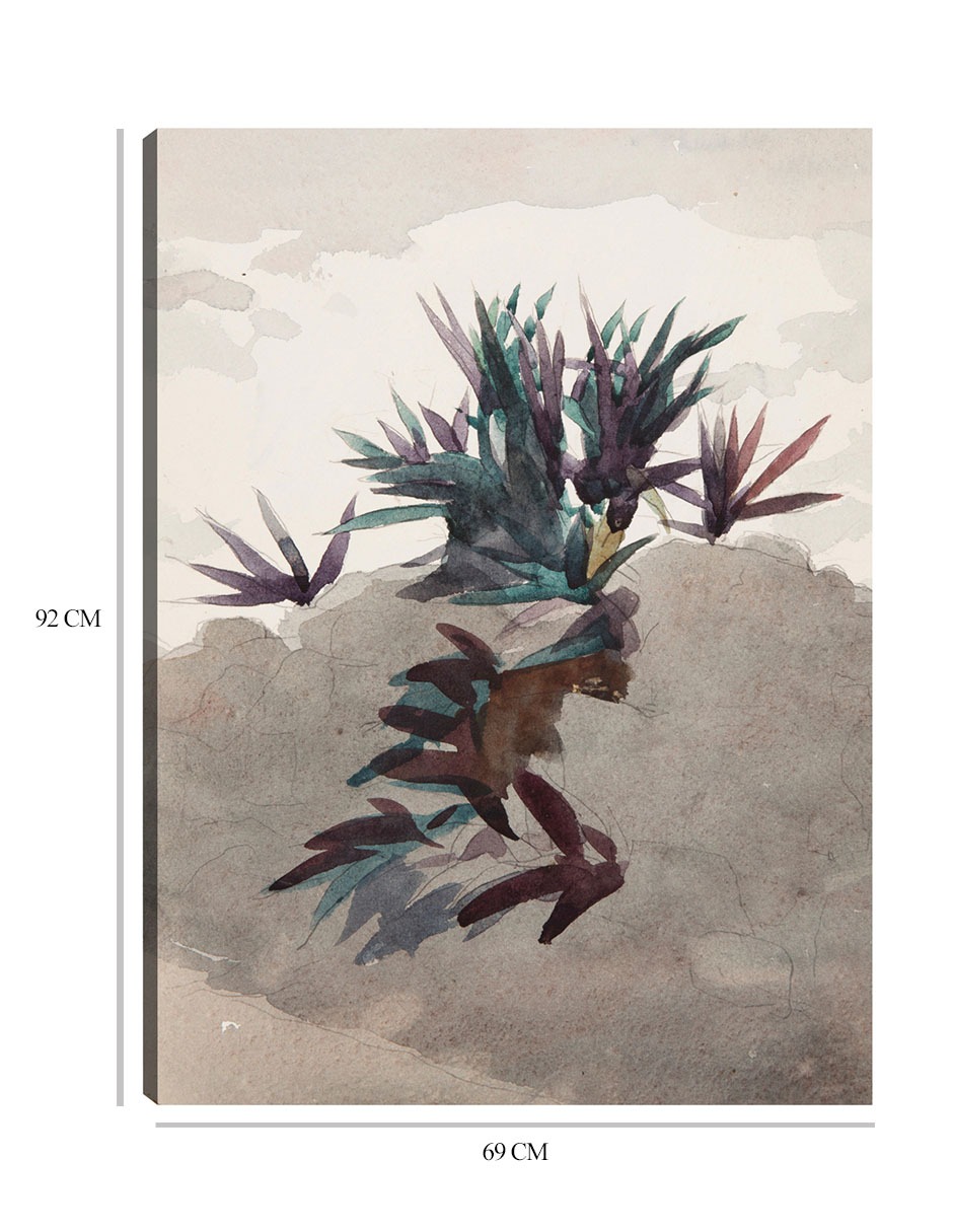 Foto 7 pulgar | Cuadro Decorativo - Ladera Con Macizos De Maguey (1898-1899)- Winslow Homer - Abstracto - 69x92 -impresión En L