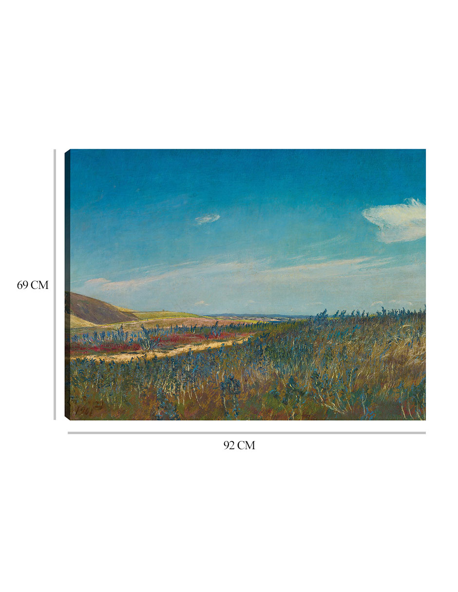 Foto 7 pulgar | Cuadro Decorativo - Vista Cerca De Karrebaeksminde En El Norte De Zelanda (1901)- Laurits Andersen Ring - 69x92 - F