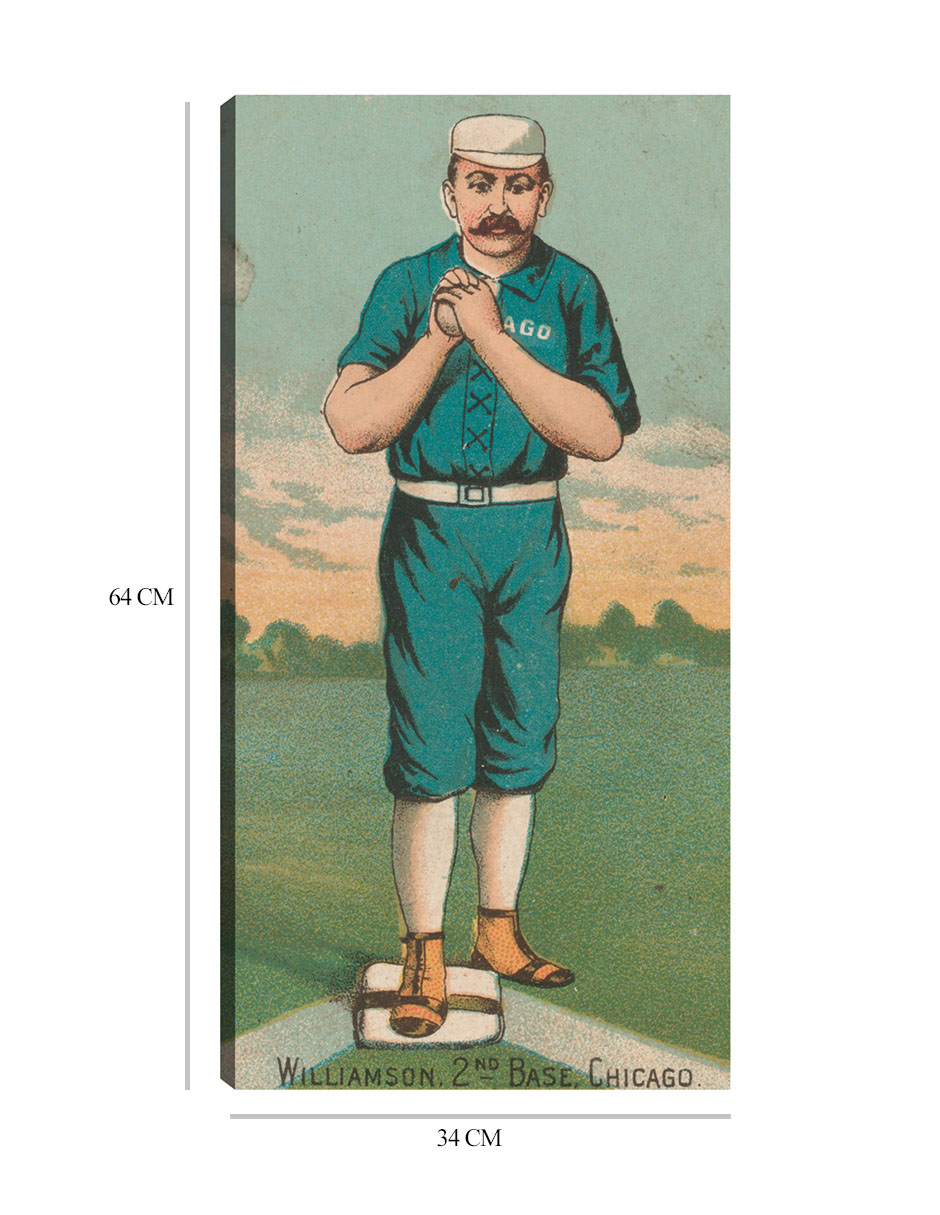 Foto 7 pulgar | Cuadro Decorativo - Ned Williamson, Medias Blancas De Chicago, - Library Of Congress - 34x64 - Fine Art Tj