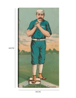 Foto 6 | Cuadro Decorativo - Ned Williamson, Medias Blancas De Chicago, - Library Of Congress - 34x64 - Fine Art Tj