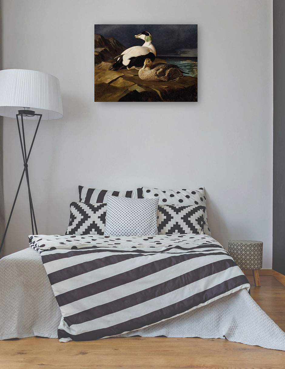 Foto 4 pulgar | Cuadro Decorativo - Par De Eiders Comunes Sobre Una Roca (1869)- Ferdinand Von Wright - Religión - 69x92 - Fine Art Tj