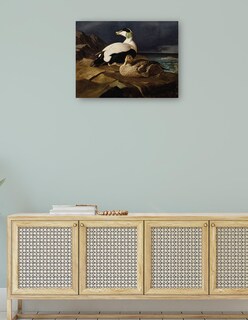 Foto 4 | Cuadro Decorativo - Par De Eiders Comunes Sobre Una Roca (1869)- Ferdinand Von Wright - Religión - 69x92 - Fine Art Tj